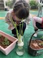 人气：387  上传时间：2021/4/16 13:39:22