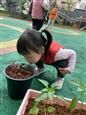 人气：374  上传时间：2021/4/16 13:39:29