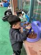 人气：359  上传时间：2021/4/16 13:39:53