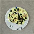 人气：405  上传时间：2021/4/16 14:13:48