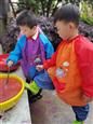 人气：403  上传时间：2021/4/16 16:30:56