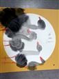 人气：377  上传时间：2021/4/16 11:50:45