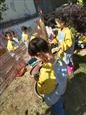 人气：432  上传时间：2021/4/21 14:39:37