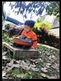 人气：462  上传时间：2021/4/21 12:57:34