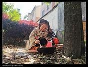 人气：407  上传时间：2021/4/21 12:57:36