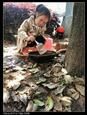 人气：384  上传时间：2021/4/21 12:57:37