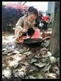 人气：393  上传时间：2021/4/21 12:57:37