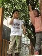 人气：429  上传时间：2021/4/26 11:40:56