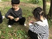人气：418  上传时间：2021/4/26 11:40:59