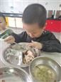 人气：363  上传时间：2021/4/29 17:03:49