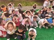 人气：452  上传时间：2021/5/12 12:26:19