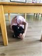 人气：402  上传时间：2021/5/13 16:22:07