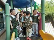 人气：394  上传时间：2021/5/13 16:58:29