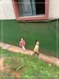 人气：399  上传时间：2021/5/14 13:15:33