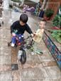 人气：459  上传时间：2021/5/21 14:49:54