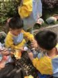 人气：401  上传时间：2021/5/21 12:47:23