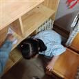人气：405  上传时间：2021/6/4 15:17:05