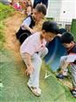 人气：373  上传时间：2021/6/11 17:10:53