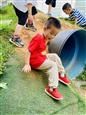 人气：365  上传时间：2021/6/11 17:10:54