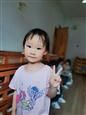 人气：392  上传时间：2021/6/11 17:30:12