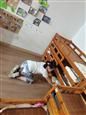 人气：364  上传时间：2021/6/11 9:41:36