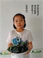 人气：377  上传时间：2021/6/11 11:32:58