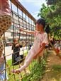 人气：357  上传时间：2021/6/11 11:56:24
