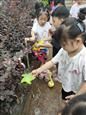 人气：340  上传时间：2021/6/18 16:01:53