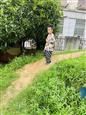 人气：359  上传时间：2021/6/18 11:12:28
