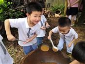 人气：446  上传时间：2021/6/24 16:41:56