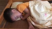 人气：288  上传时间：2021/9/3 16:30:37