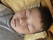人气：202  上传时间：2021/9/3 17:43:32