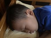 人气：296  上传时间：2021/9/3 17:43:38
