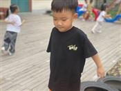 人气：199  上传时间：2021/9/9 16:38:48