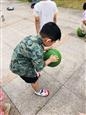 人气：270  上传时间：2021/9/10 15:56:54