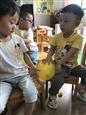 人气：242  上传时间：2021/9/10 10:40:37