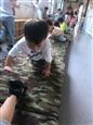 人气：265  上传时间：2021/9/17 8:15:35