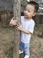 人气：219  上传时间：2021/10/9 17:10:41