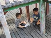 人气：168  上传时间：2021/10/14 12:17:09