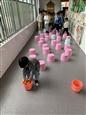 人气：195  上传时间：2021/10/15 12:26:18