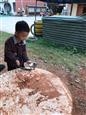 人气：174  上传时间：2021/10/20 12:22:05