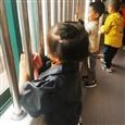 人气：197  上传时间：2021/10/26 12:48:42
