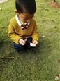 人气：255  上传时间：2021/10/26 12:53:10