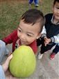人气：212  上传时间：2021/10/27 16:21:02