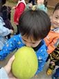 人气：160  上传时间：2021/10/27 16:21:09