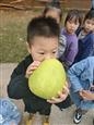 人气：183  上传时间：2021/10/27 16:21:21