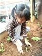 人气：220  上传时间：2021/10/28 16:24:07