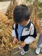 人气：160  上传时间：2021/11/1 8:45:08