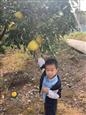 人气：223  上传时间：2021/11/1 8:45:11