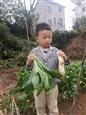 人气：191  上传时间：2021/11/1 8:45:14